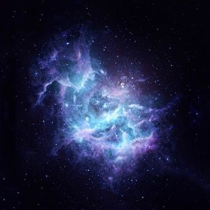 Meet your Posher, OnlyFlans